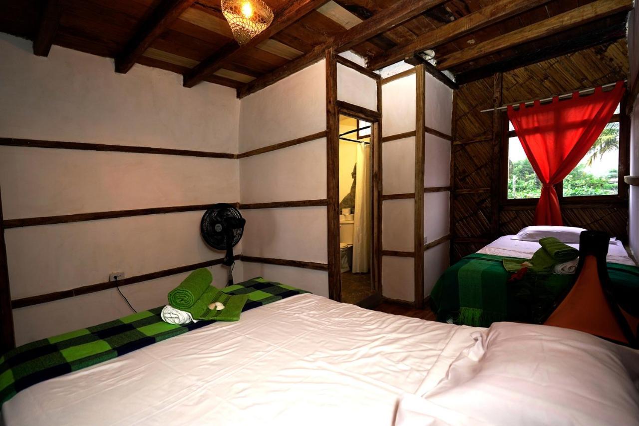 Hostal Olmito קנואה מראה חיצוני תמונה