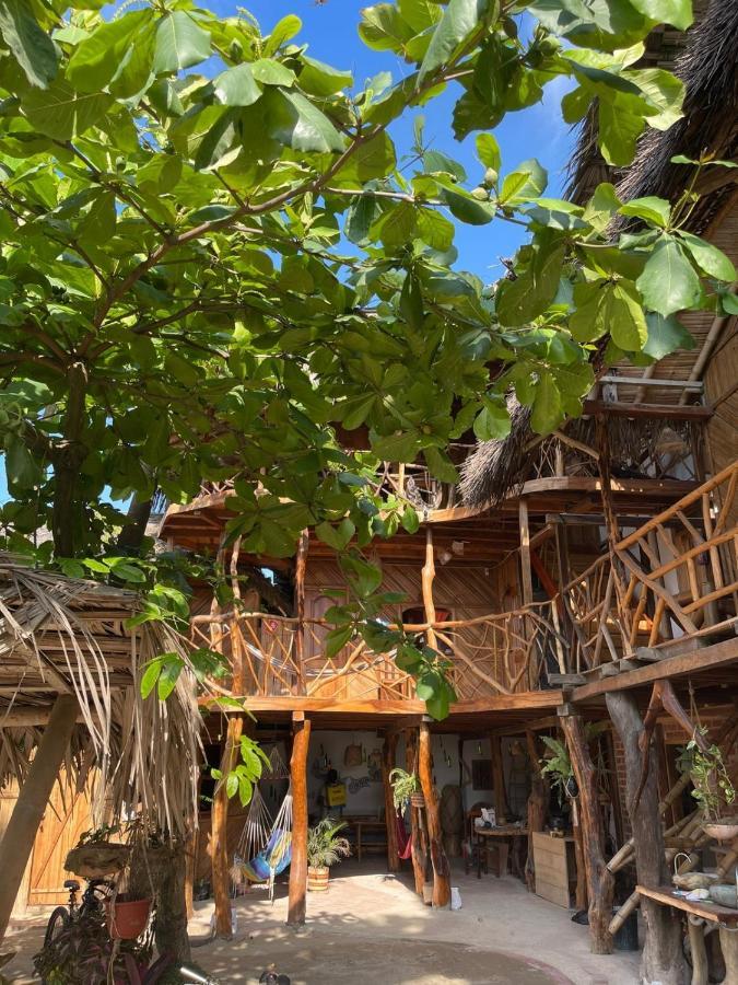 Hostal Olmito קנואה מראה חיצוני תמונה